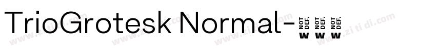 TrioGrotesk Normal字体转换